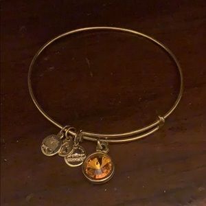 November Alex and Ani Bracelet
